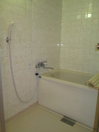 Bath. Bathroom (interior ago)