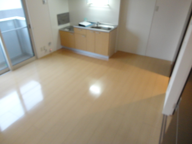 Living and room. Kitchen