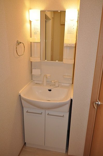 Washroom. Shampoo dresser