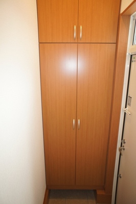 Entrance. Tall shoes with BOX