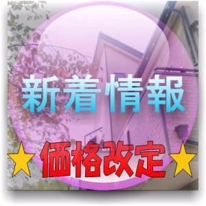 Other. It was price change