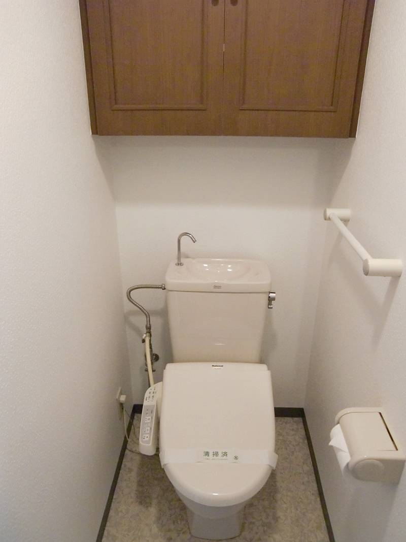 Toilet. Warm water washing toilet seat