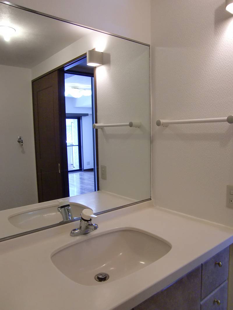 Washroom. Spacious wash basin was