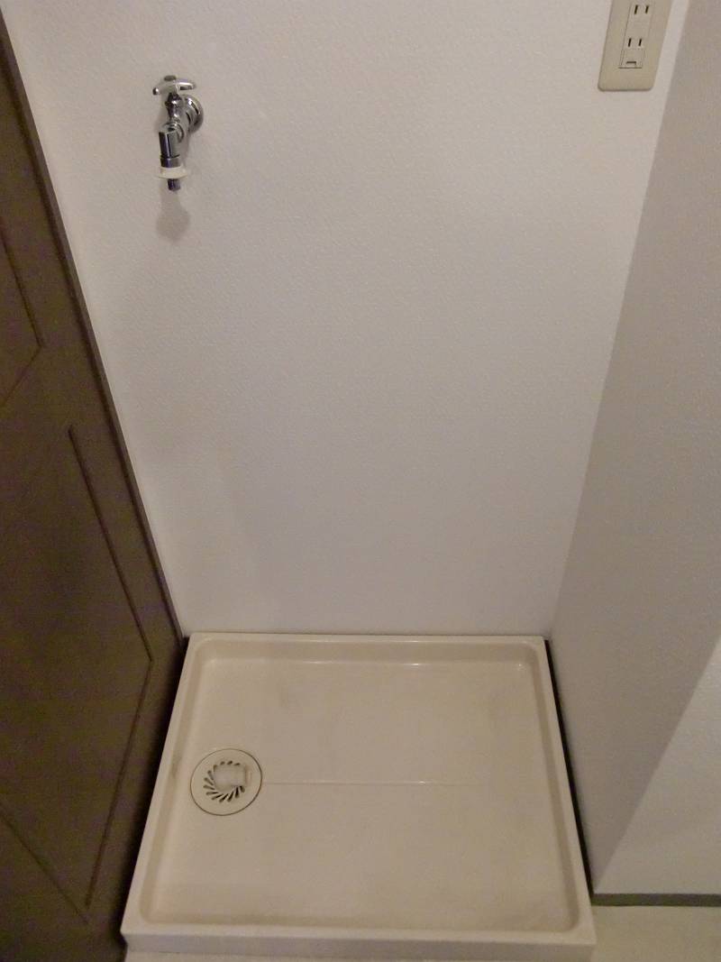 Washroom. Laundry Area