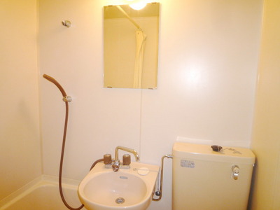 Washroom. Wash basin