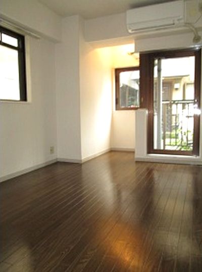 Living and room. Good day in the two-sided lighting