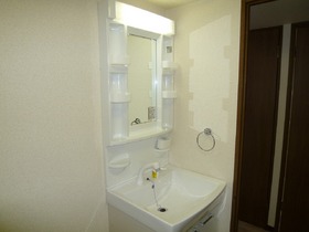 Washroom. Shampoo dresser