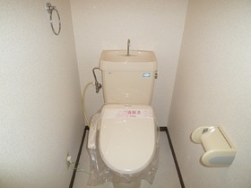 Toilet. Cleaning function with toilet seat