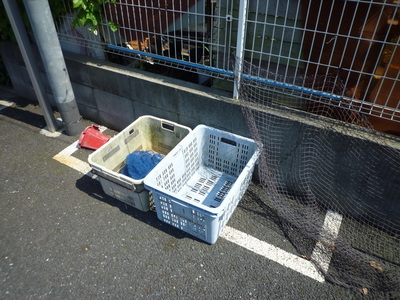 Other. Until the other (Other) 5m