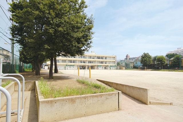 Other. Higashino elementary school (about 550m)