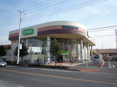 Supermarket. 600m to the Co-op (super)