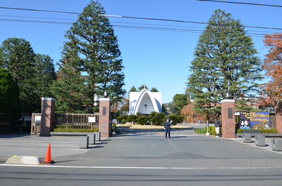 Other. Rikkyo Niiza until the (other) 1500m