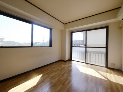 Living and room. A bright room