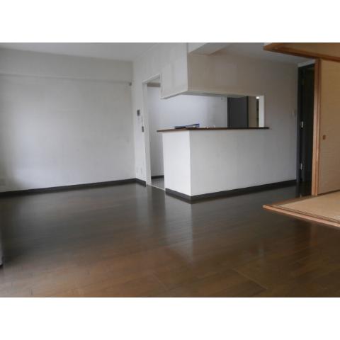 Living and room. Next to a large living room is nice usability