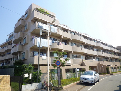 Other. 10m until the appearance of the road (Other)