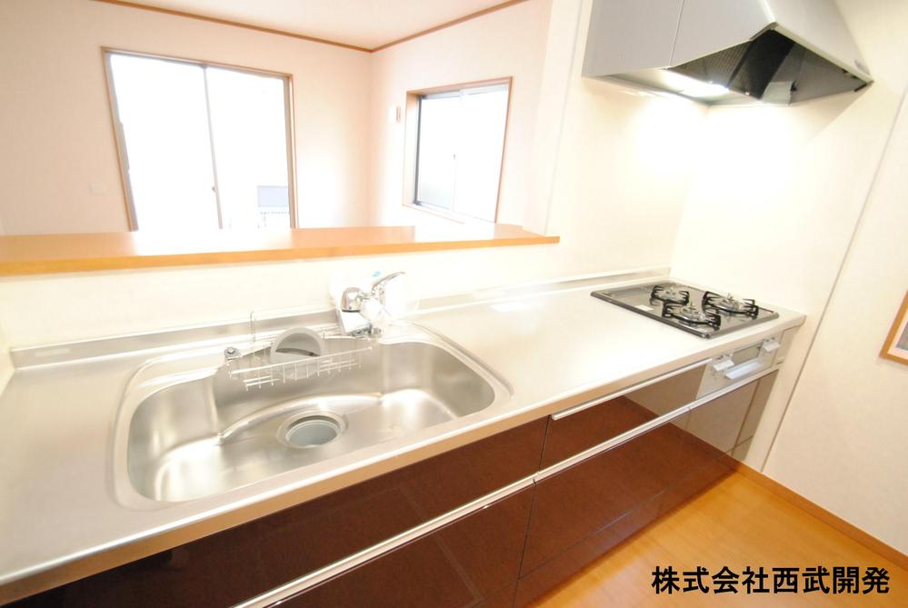 Kitchen. Indoor (12 May 2013) Shooting