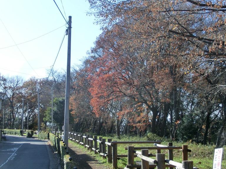 park. 50m to Myoon SawaMidori zones remain the natural environment