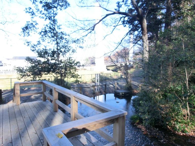 Other Environmental Photo. About to spring land 200m