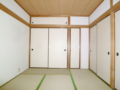 Living and room. Interior