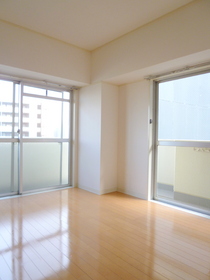 Living and room. Two-sided lighting