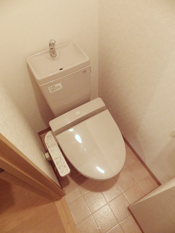 Toilet. With warm water washing toilet seat function