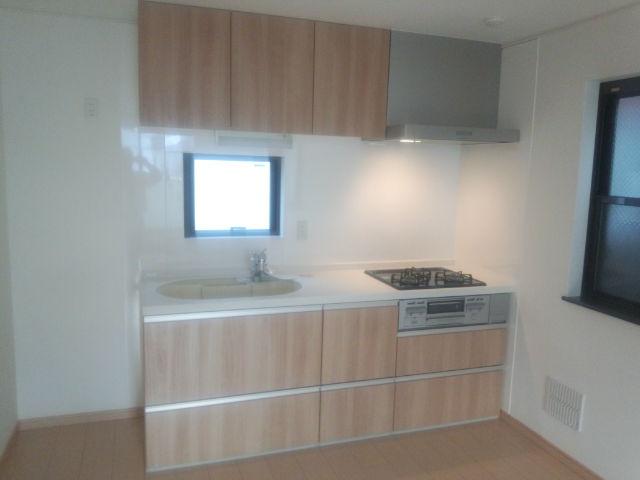 Kitchen. Indoor (10 May 2013) Shooting