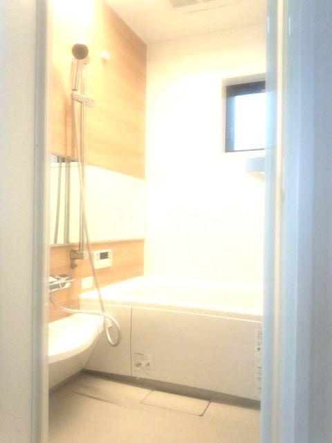 Bathroom. Indoor (10 May 2013) Shooting