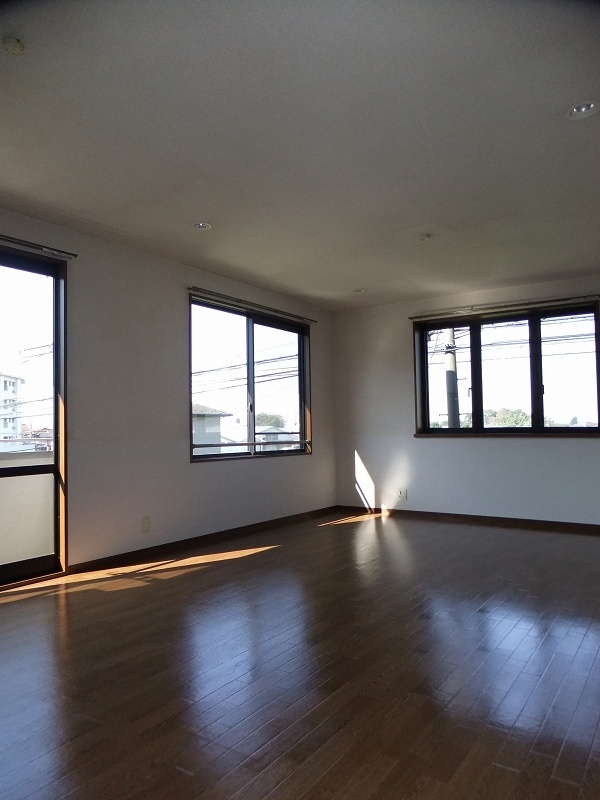 Living and room. Two-sided lighting, Room corner room