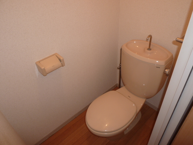 Toilet. It is a photograph of another room