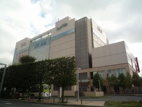 Other. Marui 580m until the family (Other)