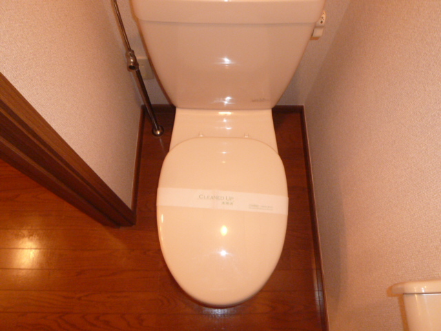 Toilet. It is a photograph of another room