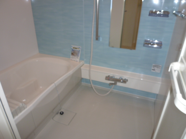 Bath. Photos of the model room is