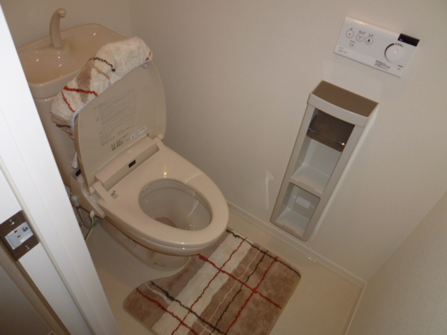 Toilet. Photos of the model room is