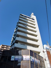 Building appearance. It is the apartment of 11-storey