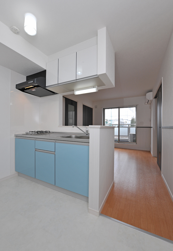 Kitchen. Inverted type, Sky Blue of the kitchen