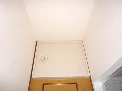 Washroom. Washing machine in the room