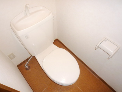 Toilet. Toilet