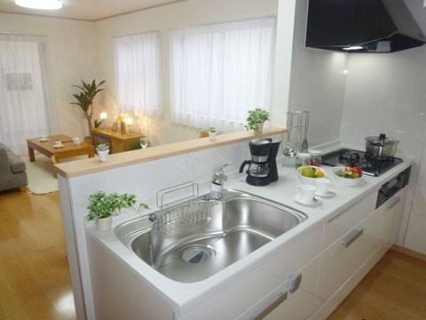 Same specifications photo (kitchen). Example of construction