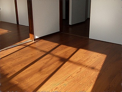 Living and room. Living