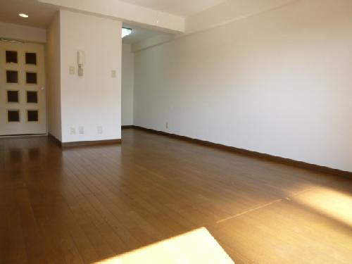 Living and room. Living