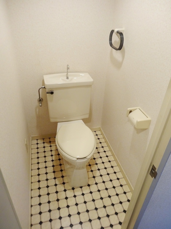 Toilet. Another Room No. reference photograph