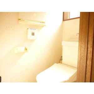 Kitchen. Living-dining kitchen