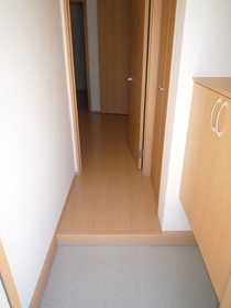 Entrance. Airy entrance