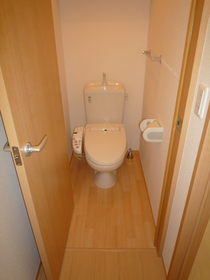 Toilet. Cleaning function with toilet seat