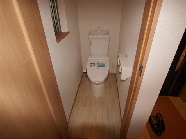 Toilet. Comfortable Washlet