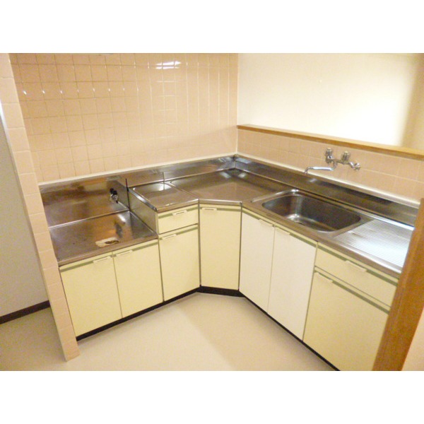 Kitchen. L-shaped kitchen