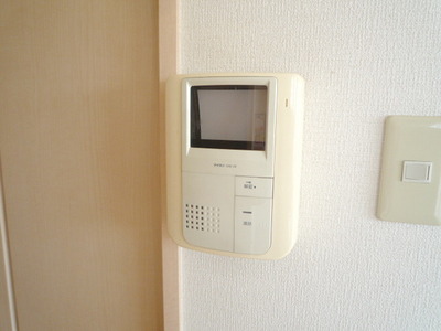 Security. Monitor with intercom