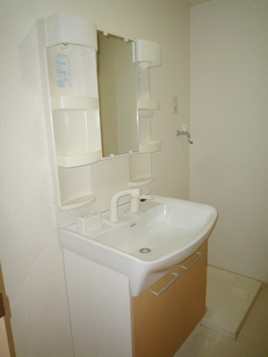 Washroom. Wash basin