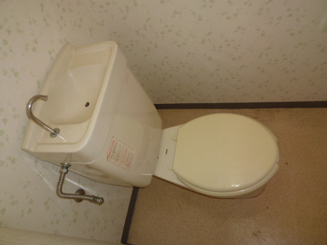 Toilet. It is a photograph of another room
