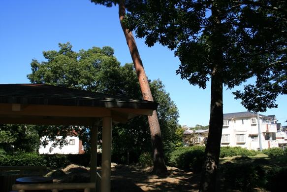 park. Until the pine cone park 280m